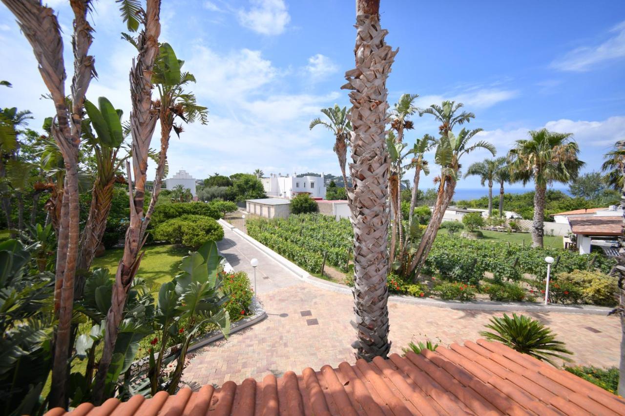 Appartamento con 1 Camera da Letto, Terrazza e Vista Mare