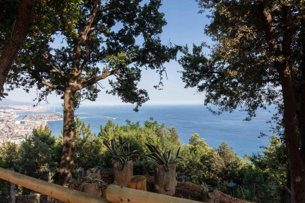 Villa with Sea View,1649067604:JPEG