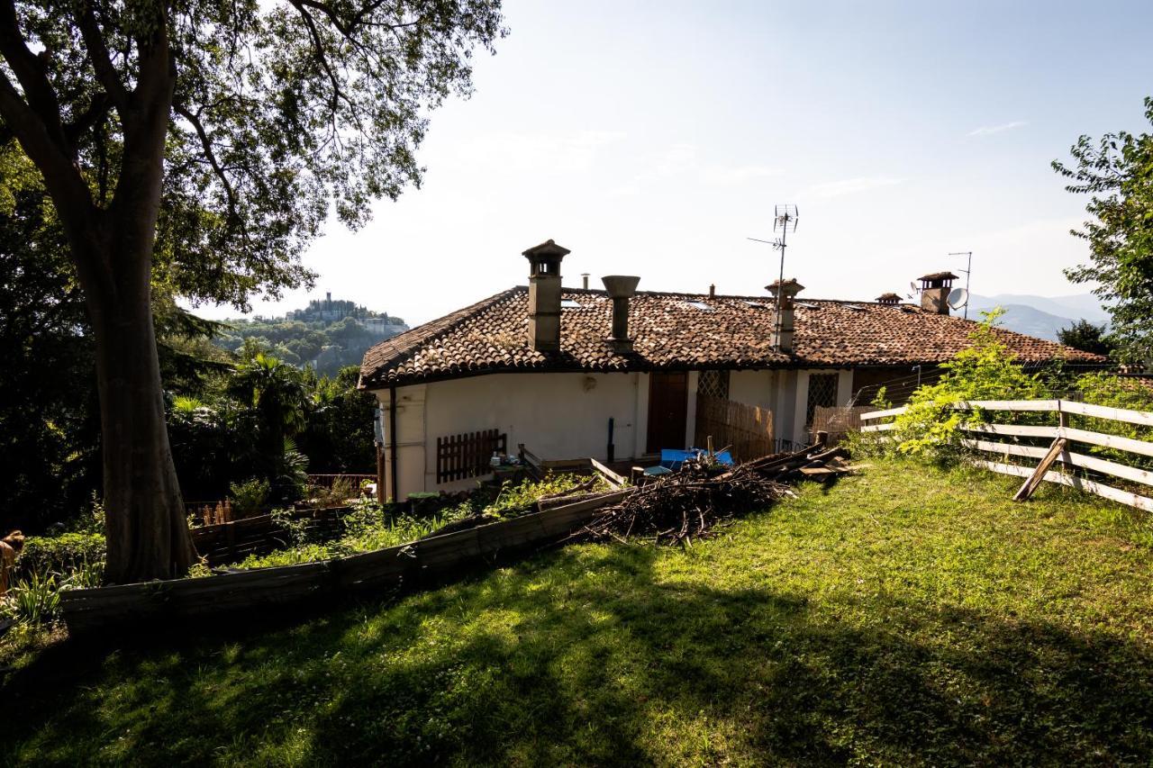 Camera King con Vista Giardino