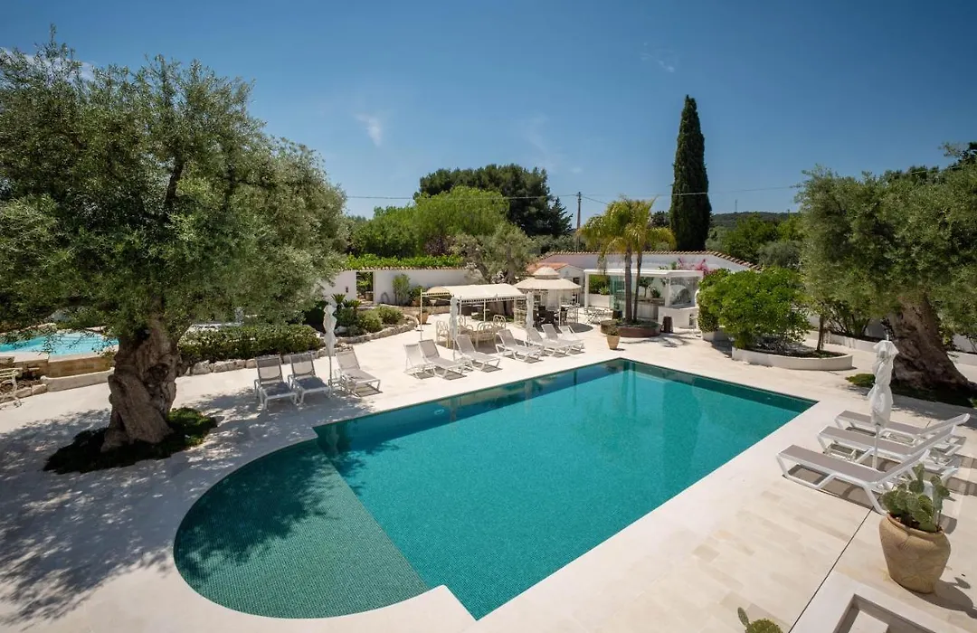 B&B Antico Ulivo-1