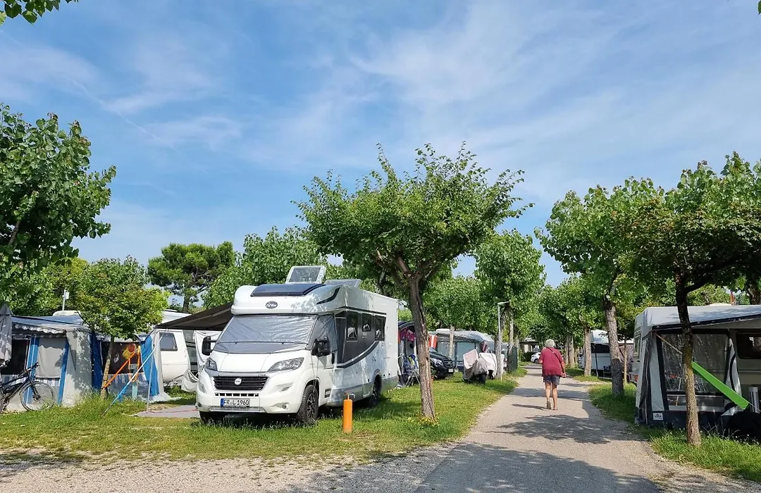 Camping Belvedere-1