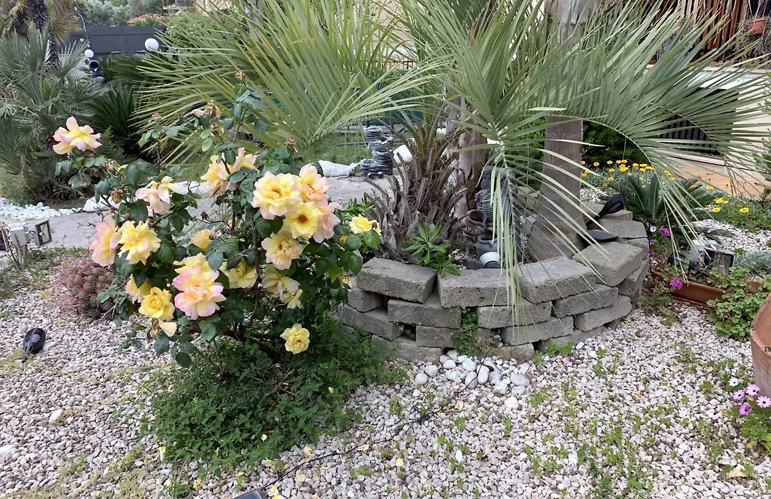 Il Giardino Di Adriana B&B-1