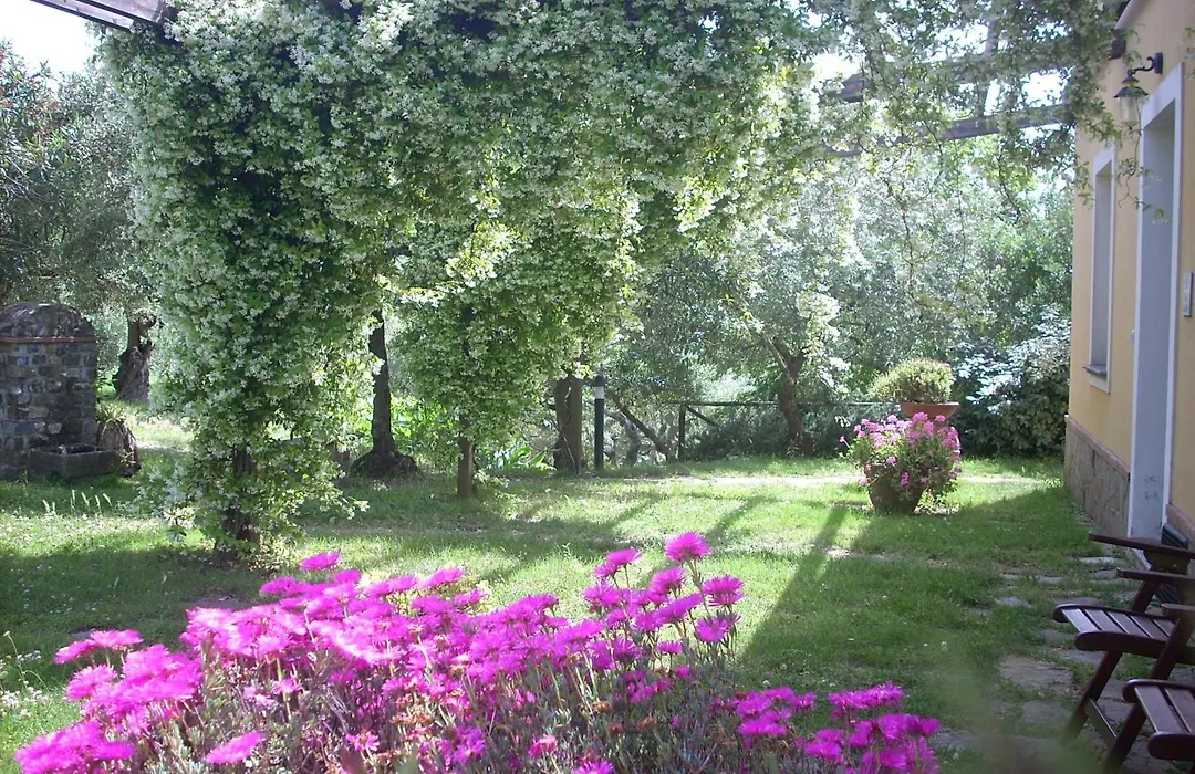 Agriturismo i Moresani-1
