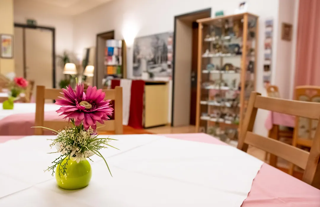 Pension Hotel Mariahilf-1
