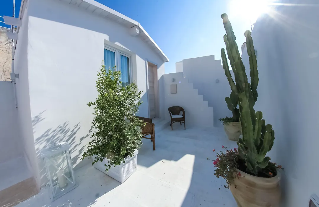 Clara Domus-1