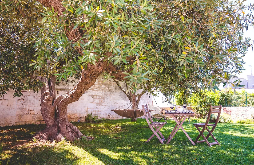 Trulli-Eu Guesthouse Alberobello-1