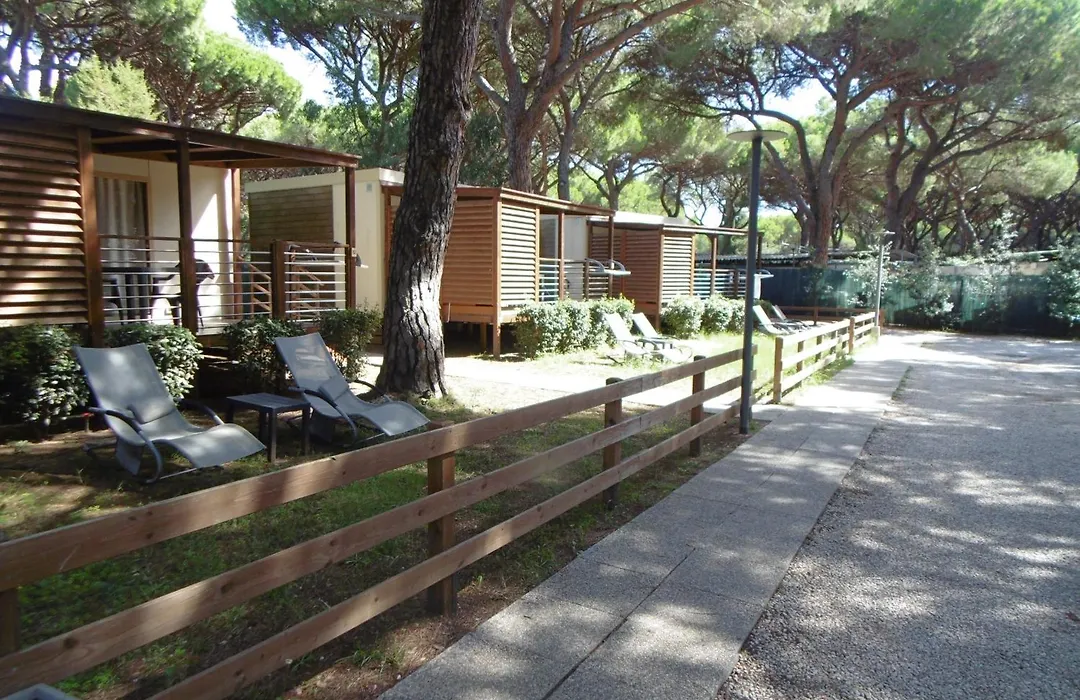 Camping Eden-1
