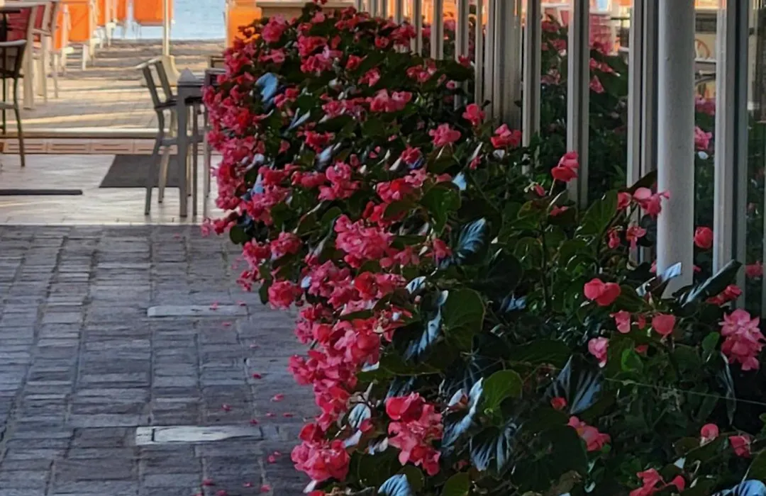 Hotel Sporting-1