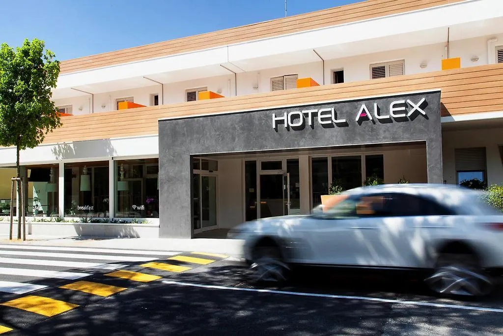 Hotel Alex-1