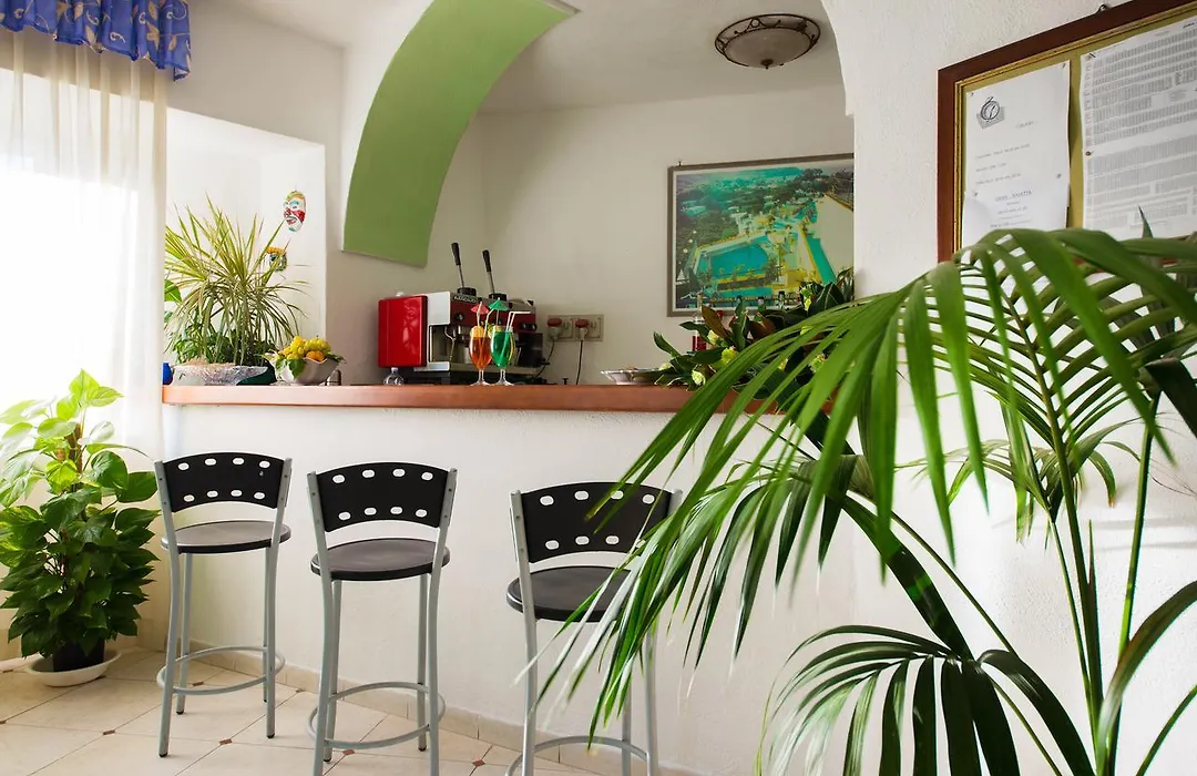 B&B Verde-1