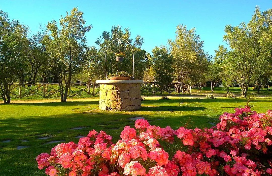 Agriturismo Li Scopi-1