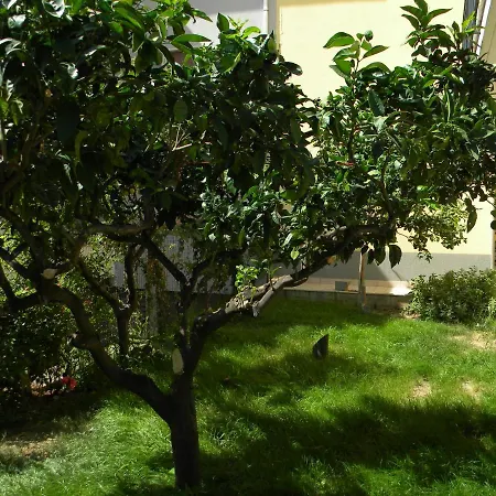 B&B Il Giardino Diamante-3