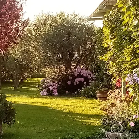 Vecchio Casale Margherita-2