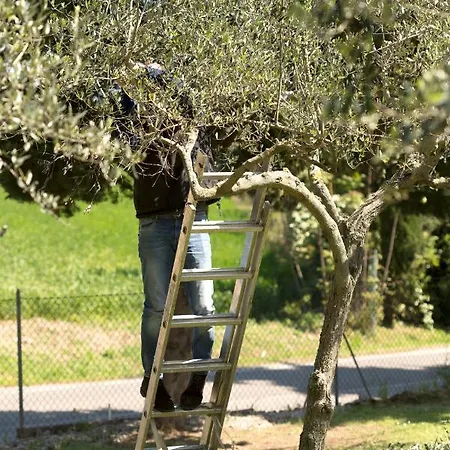 Bed&Breakfast Il Frantoio-3