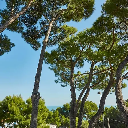 Villa Ulisse - Suites - Luxury B&B-2