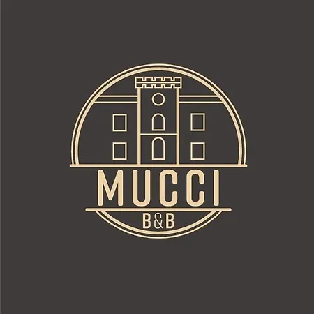 Mucci B&B&Apartments-2