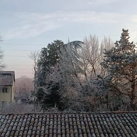 Acero Giallo-3