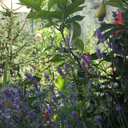 B&B Le Giare-2