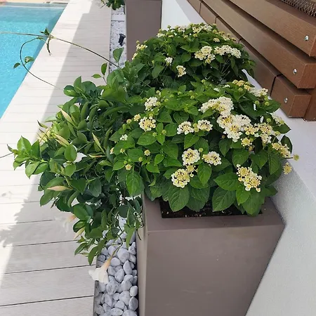 Hotel Nettuno-3