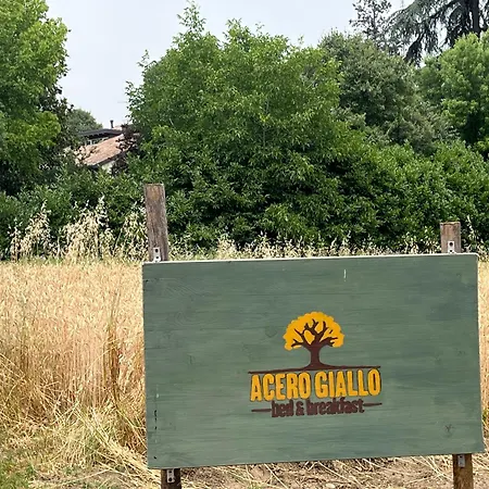 Acero Giallo-2