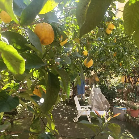 Il giardino nascosto-2