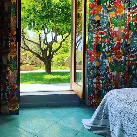 Blanda B&B-2