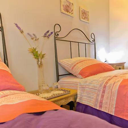 Duca'S Guest House-2