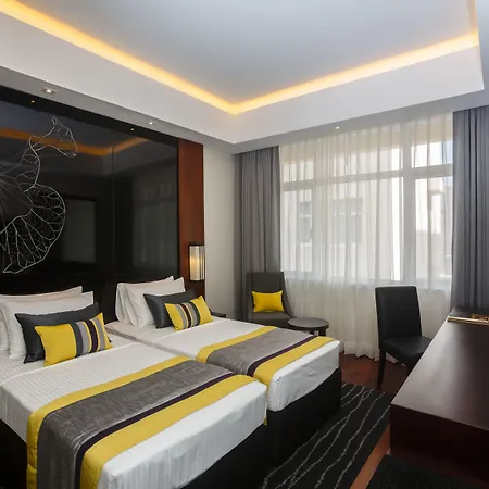 Renuka City Hotel-2
