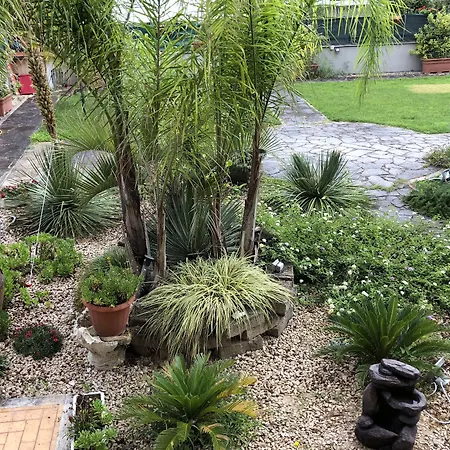 Il Giardino Di Adriana B&B-3