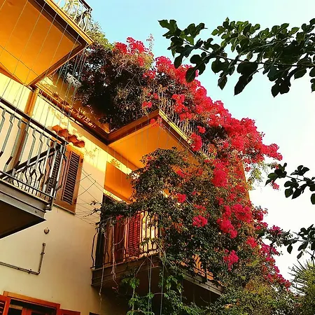 B&B Le Terrazze-3