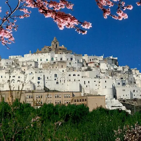 Albachiara Bed & Breakfast-2