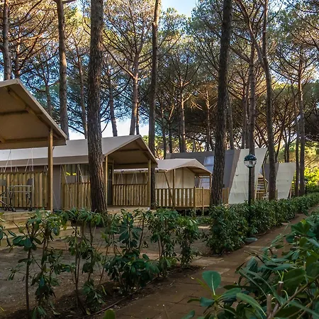 Camping Free Beach-2