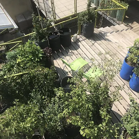 Wiener Gaeste Zimmer-3