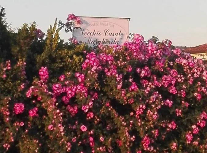 Vecchio Casale Margherita Camaiore