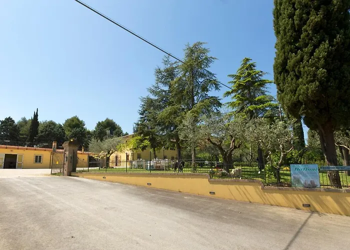 Bed&Breakfast Il Frantoio Misano Adriatico