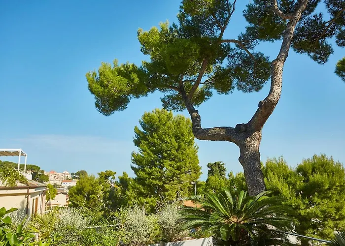 Villa Ulisse - Suites - Luxury B&B Numana