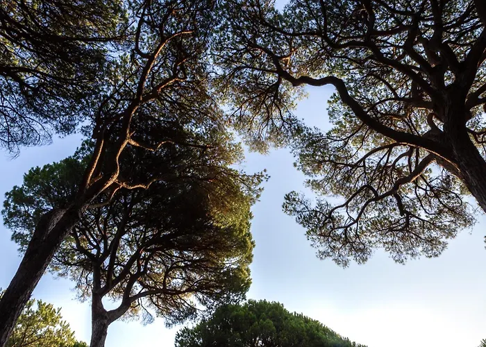 Camping Village Il Sole Marina di Grosseto