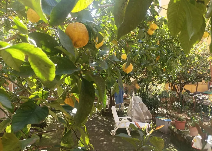 Il giardino nascosto